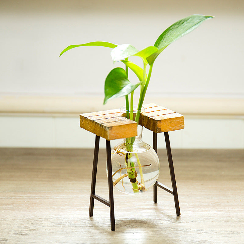 small glass propagation vase