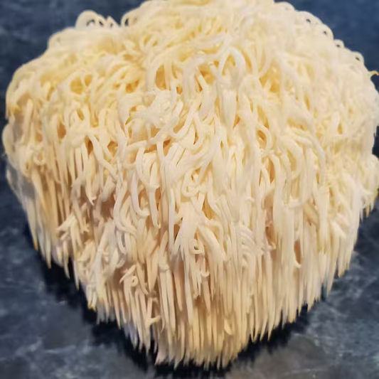 Fresh Lion's Mane Mushroom