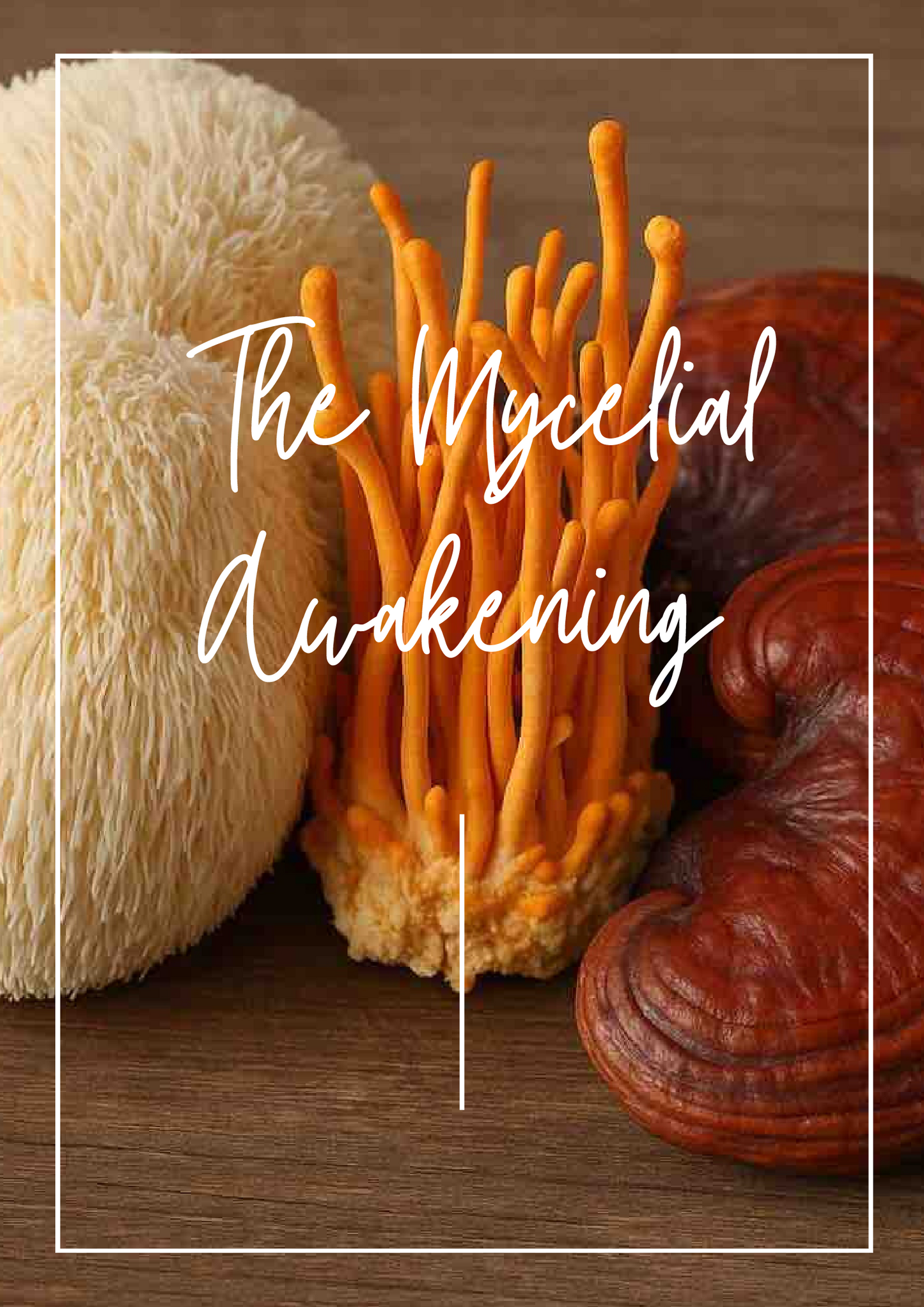 The Mycelial Awakening