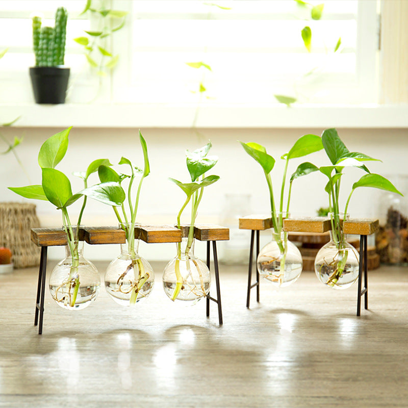small glass propagation vase
