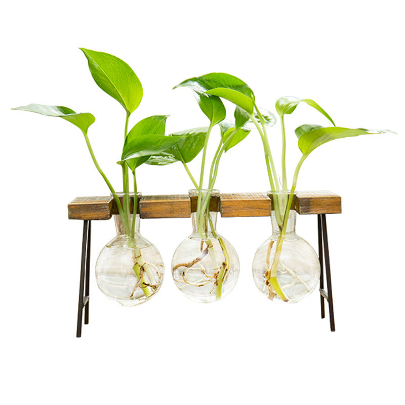 small glass propagation vase