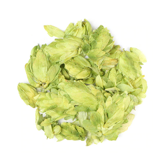 Hops : Humulus Lupulus