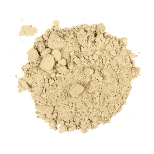 Kava Kava: Piper Methysticum